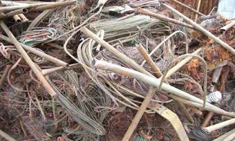 Cobre_BC_Cuba_006